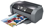 Epson ink cartridge